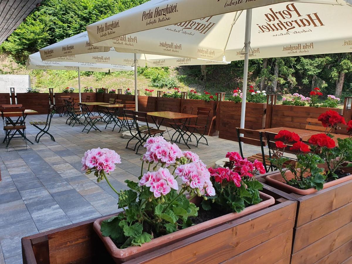Monte Cervo Bio Hotel & Spa Covasna Exterior photo